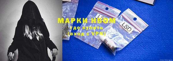 хмурый Алзамай