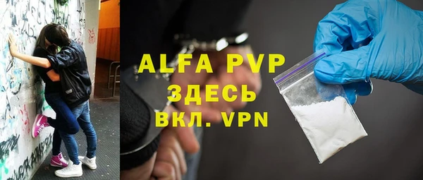прущие грибы Осташков