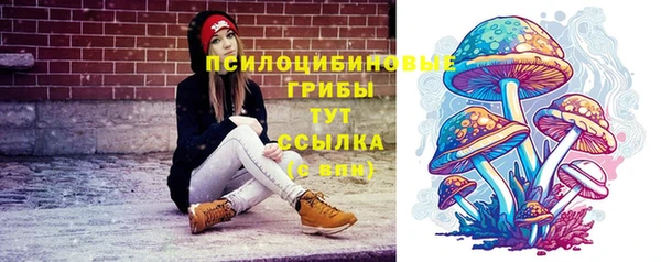 прущие грибы Осташков