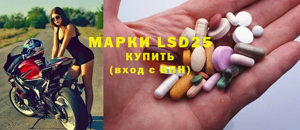 хмурый Алзамай