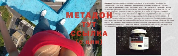 прущие грибы Осташков